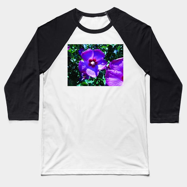 Rose of Sharon Photo Print Baseball T-Shirt by julyperson